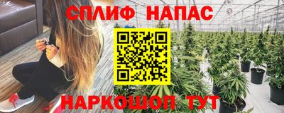 мяу мяу мука Пенза