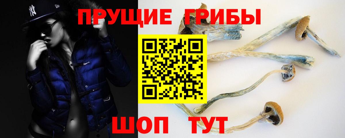 Псилоцибиновые грибы MAGIC MUSHROOMS Тобольск